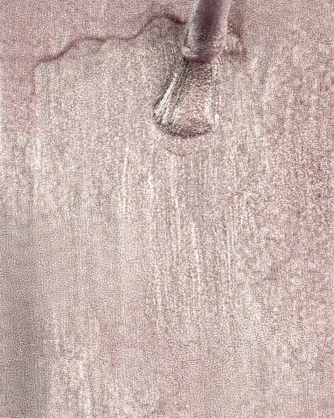 Лак для ногтей PROLAC+bioceramics укрепляющий 099 Aluminium Peony, 12.5 мл в в Новосибирске