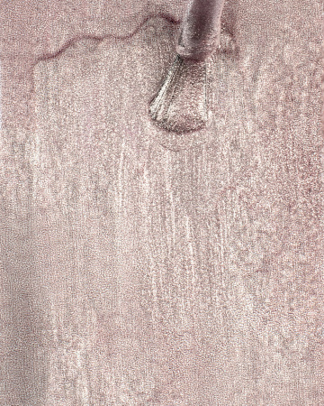 Лак для ногтей PROLAC+bioceramics укрепляющий 099 Aluminium Peony, 12.5 мл в в Челябинске