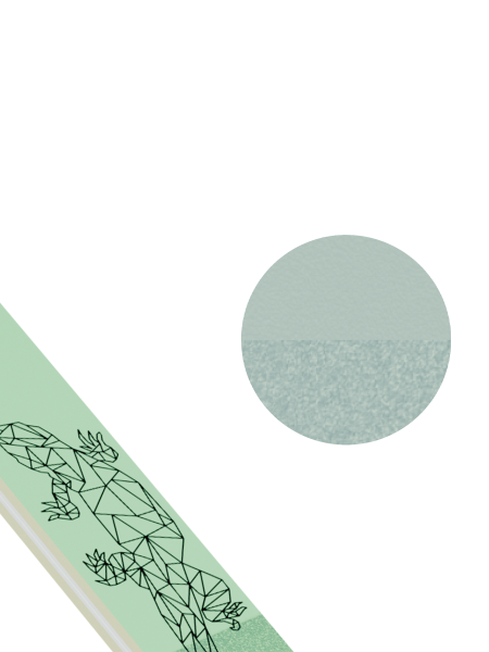 Пилка-полировщик для безупречного блеска и ухоженных ногтей Lizard 280/600/3000 Prosalon в в Новосибирске