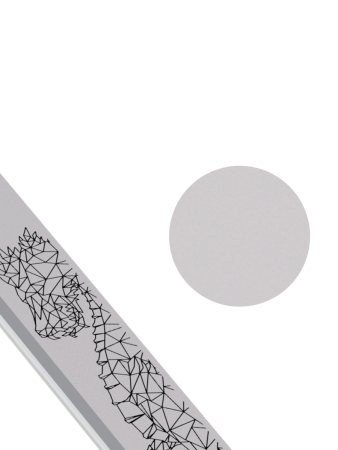 Пилка-шлифовщик для нормальных и поврежденных ногтей Dragon 180/240 Prosalon в в Челябинске