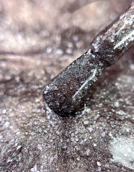 Лак для ногтей PROLAC+bioceramics укрепляющий 127 Dragon Instinct, 12.5 мл в в Новосибирске