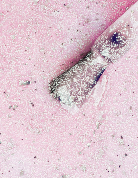 Лак для ногтей PROLAC+bioceramics укрепляющий 128 Breaking the Rules, 12.5 мл в в Новосибирске