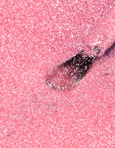 Лак для ногтей PROLAC+bioceramics укрепляющий 138 Butterfly Wings, 12.5 мл в в Новосибирске