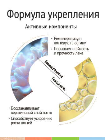 Промо-набор лаков для ногтей PROLAC+bioceramics «Dreamlands» мини, 4 шт. по 12.5 мл